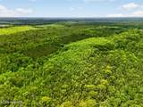 Tbd Pea Ridge Road - Photo 20