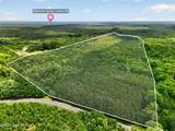 Tbd Pea Ridge Road - Photo 21