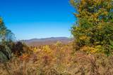 Lot 37 Great Sky Trail - Photo 2