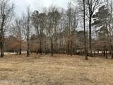 173 Roanoke Drive - Photo 4