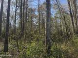 0 Little Prong Rd - Photo 5