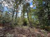 0 Atkinson Cemetery Road - Photo 20