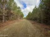 0 Atkinson Cemetery Road - Photo 28