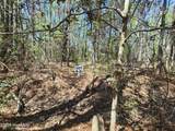 Lot A-31 Renee Drive - Photo 3