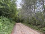 0 Down Springs Drive - Photo 6