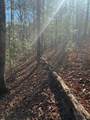 13 Deep Forest Road - Photo 13
