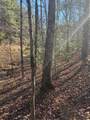 13 Deep Forest Road - Photo 14