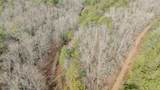 13 Deep Forest Road - Photo 30