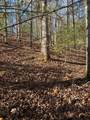 13 Deep Forest Road - Photo 9