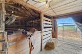 2195 Nc 111 Highway - Photo 44
