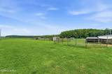 2195 Nc 111 Highway - Photo 49