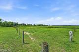 2195 Nc 111 Highway - Photo 53