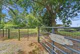 2195 Nc 111 Highway - Photo 58