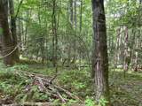24 Old Faber Road Glen Hay - Photo 10