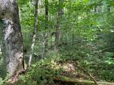 24 Old Faber Road Glen Hay - Photo 11