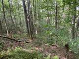 24 Old Faber Road Glen Hay - Photo 12