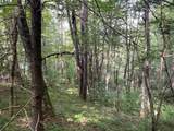 24 Old Faber Road Glen Hay - Photo 4