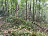 24 Old Faber Road Glen Hay - Photo 8