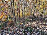 Lot 37m Ridges - Photo 2