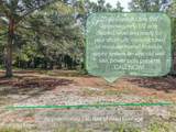 2240 Gordon Lane - Photo 11