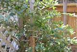 8725 Plantation Drive - Photo 59