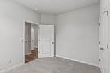 4293 Coralbead Lane - Photo 28