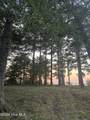 Lot 2 Newberry Landing - Photo 4