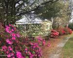 1560 Register Sutton Road - Photo 1