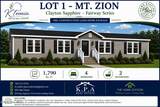 Lot 1 Mt Zion Rd Road - Photo 1