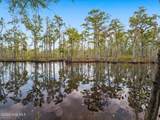 425 Colonial Landing Road - Photo 42