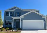 1057 Pampas Grass Drive - Photo 1
