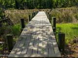 408 Tarpon Pointe Road - Photo 13