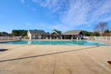 281 Mimosa Drive - Photo 8