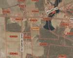 Near 8755 Andrew Jackson Highway - Photo 19