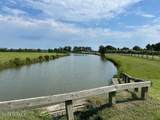 Lot 8 Blue Heron Boulevard - Photo 17