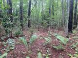 0 Lake Cole Road - Photo 12