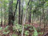 0 Lake Cole Road - Photo 13