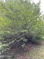 30 Deer Buster Drive - Photo 19