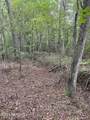 30 Deer Buster Drive - Photo 23
