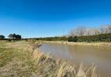 35 Palomino Court - Photo 4