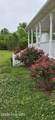 1600 Cool Springs Road - Photo 15