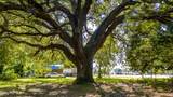 1559 Nc-24 - Photo 22