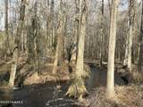 Tbd Gum Shaw Road - Photo 16