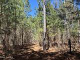 Tbd Gum Shaw Road - Photo 20