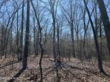 Tbd Gum Shaw Road - Photo 30
