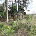 321 Queen Street - Photo 25