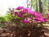 9136 Forest Drive - Photo 20