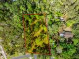 10110 Olde Towne Wynd - Photo 3