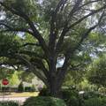 3443 Regency Drive - Photo 4