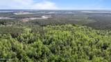 0 Nc 304 Highway - Photo 9